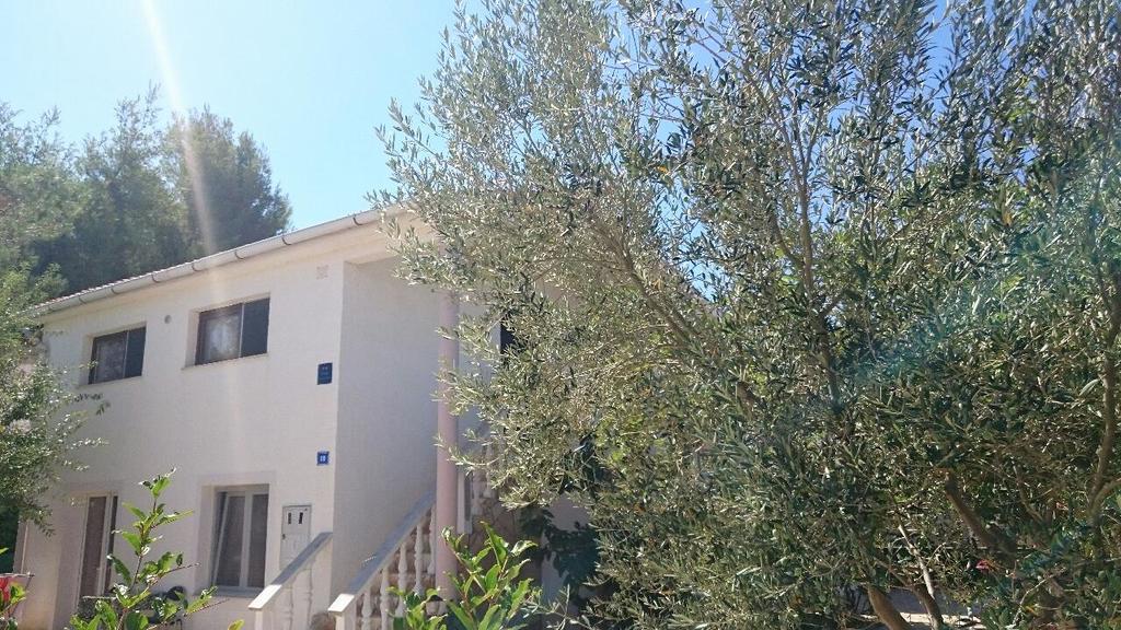 Apartments Mas-Rafaj Vir Bagian luar foto
